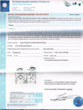 Certified 14k White Gold Princess Cut Diamond Studs Earrings 1 CT F-G Color VVS